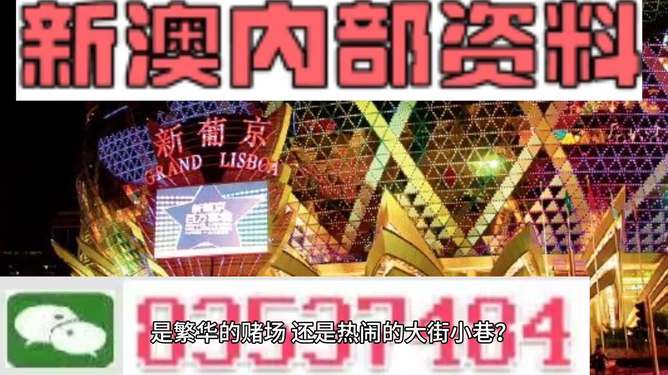 新澳门精准资料大全与管家婆料详解，全面释义、解释与落实