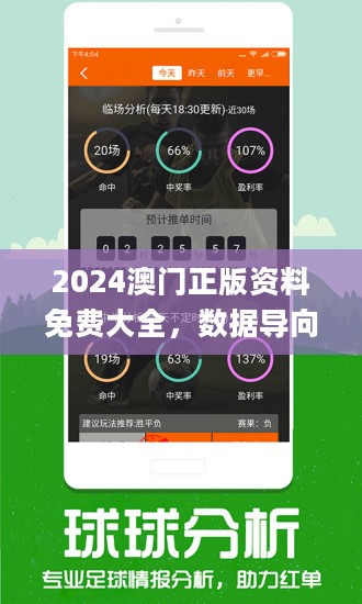 2024澳门正版精准免费大全;精选解释解析落实